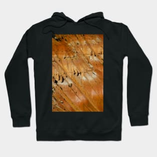 Red Rock Orange Slope, Bryce Canyon National Park Hoodie